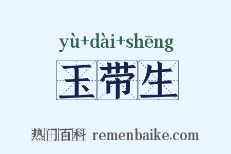 玉带生是什么意思的图片